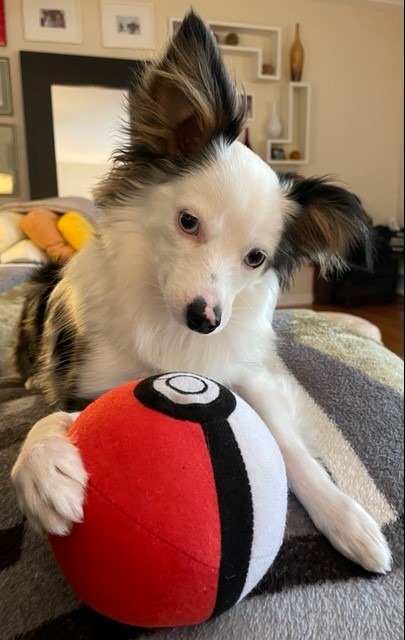 Gwen Stacy with Pokemon ball